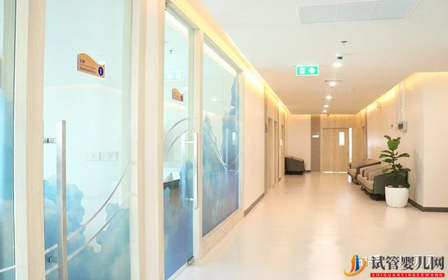 如何選擇靠譜的泰國試管嬰兒服務中心(圖2)