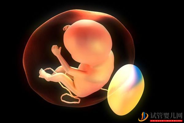 細數(shù)影響美國試管嬰兒成功率因素“知己知彼”(圖6)