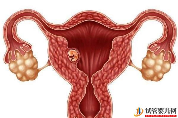 美國試管嬰兒專家如何避免胎停育的發生(圖5)