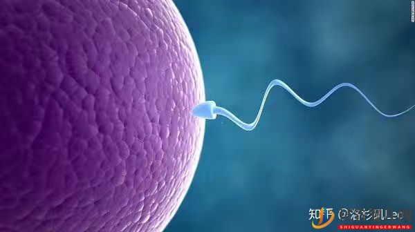 美國試管助孕可以挑選性別嗎(試管嬰兒多少錢)(圖1) 美國試管助孕可以挑選性別嗎(圖1)