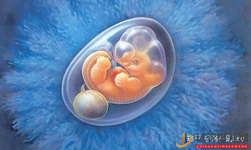 美國試管助孕可以挑選性別嗎(試管嬰兒多少錢)(圖3) 美國試管助孕可以挑選性別嗎(圖3)