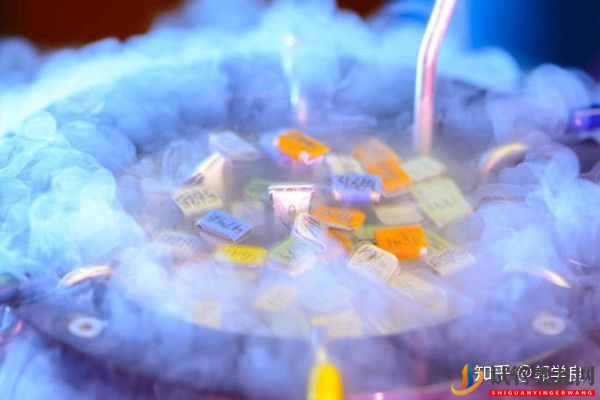 美國試管嬰兒專家疫情后,凍卵凍精需要被重視起來(圖1)