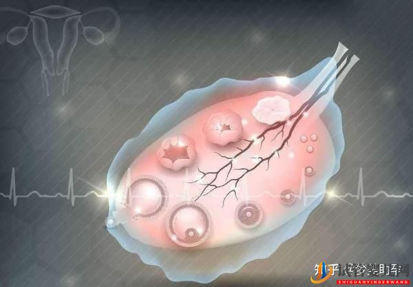 美國試管嬰兒技術生雙胞胎好不好(圖5)