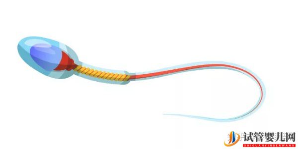 美國試管嬰兒技術生雙胞胎好不好(圖6)