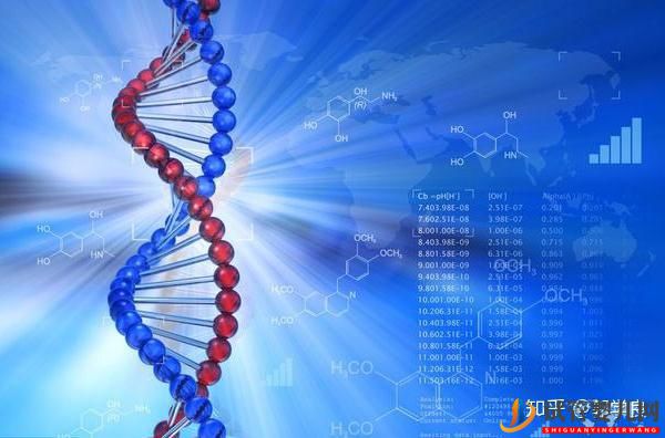 美國試管嬰兒資訊哪幾類人群需盡早赴美(圖5)