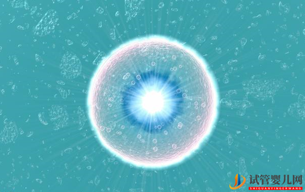 美國試管嬰兒非提前預支卵巢庫存-4點提高受精率(圖1)