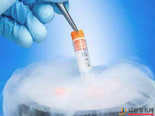 日本凍卵最好的醫(yī)院需要花多少錢?(圖1) 日本凍卵最好的醫(yī)院需要花多少錢?(圖1)