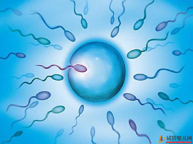 日本做試管嬰兒無(wú)須結(jié)婚證,單身女性看過(guò)來(lái)(圖1) 日本做試管嬰兒無(wú)須結(jié)婚證,單身女性看過(guò)來(lái)(圖1)