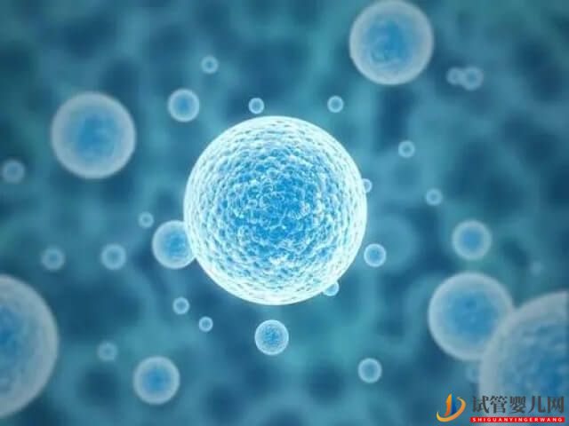 格魯吉亞試管雙胞胎男孩需要多少錢？(圖2)