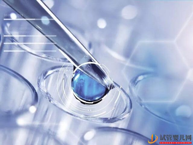 柬埔寨試管一次就成功的概率是多少？(圖1)