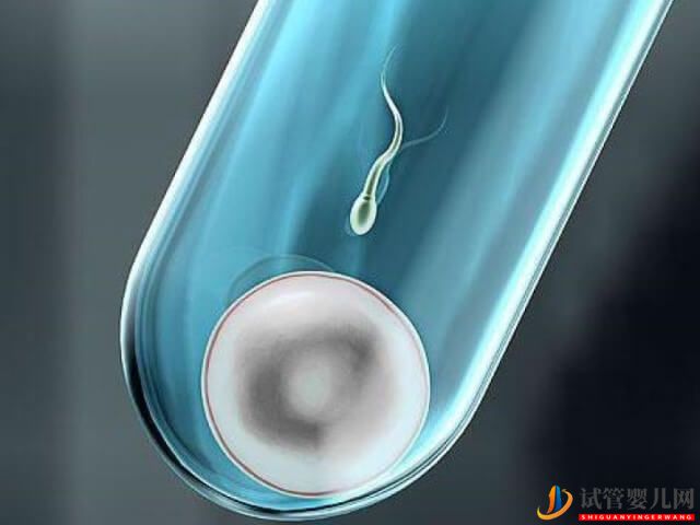 單身女性去柬埔寨做一次試管嬰兒要多久？(圖1)