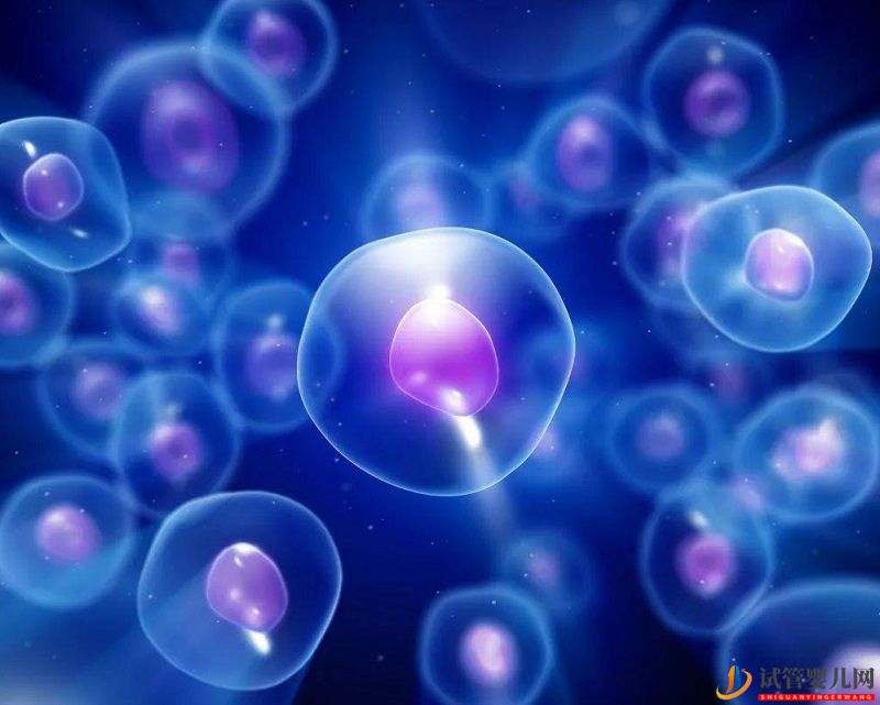 柬埔寨助孕為何做激素檢查？跟著試管流程走就準(zhǔn)沒錯！(圖1)