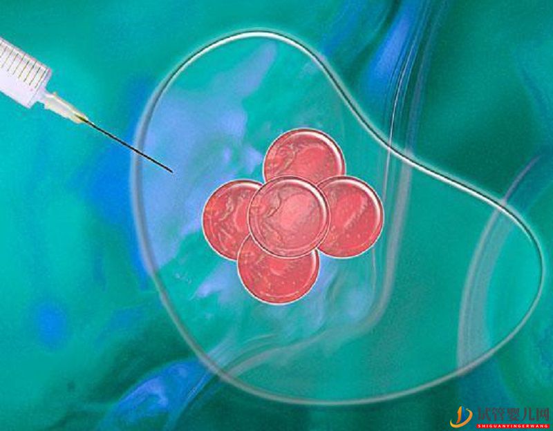 柬埔寨助孕流程之孩子如何上戶口？(圖2)