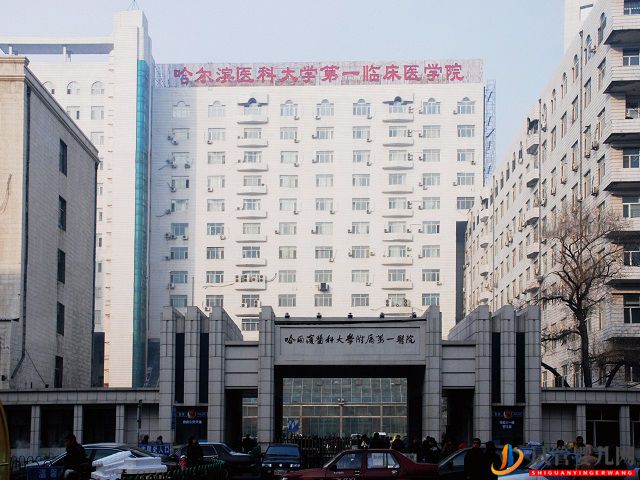 哈爾濱有可以做二代試管的私立醫(yī)院?jiǎn)幔?圖1)