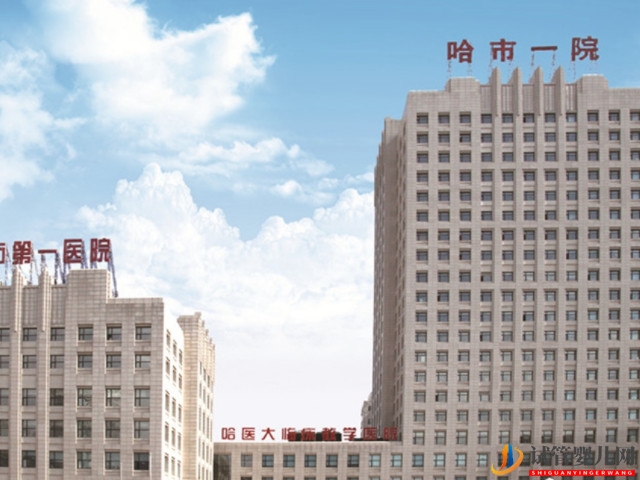 哈市第一醫(yī)院試管嬰兒成功經(jīng)驗(yàn)(圖1)