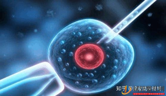 試管嬰兒好處試管嬰兒的孩子的壞(圖1)