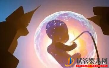 試管嬰兒到底是生男孩多還是生女孩多呢(圖1)