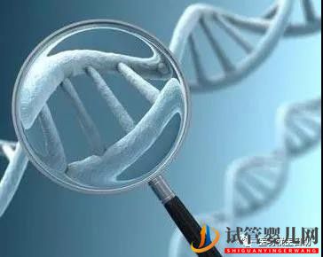 試管嬰兒讓遺傳疾病不再那么可怕!(試管嬰兒費用大概要多少錢)(圖1) 試管嬰兒讓遺傳疾病不再那么可怕!(圖1)