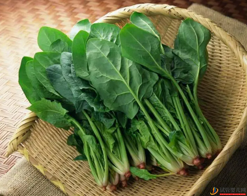 試管嬰兒備孕期間這四類食物要少吃(圖4)