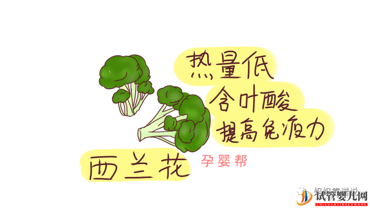 備孕女性必吃天然“葉酸”(圖1)