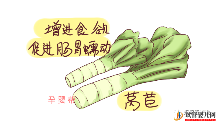 備孕女性必吃天然“葉酸”(圖2)