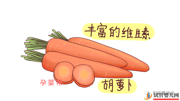 備孕女性必吃天然“葉酸”(圖3)