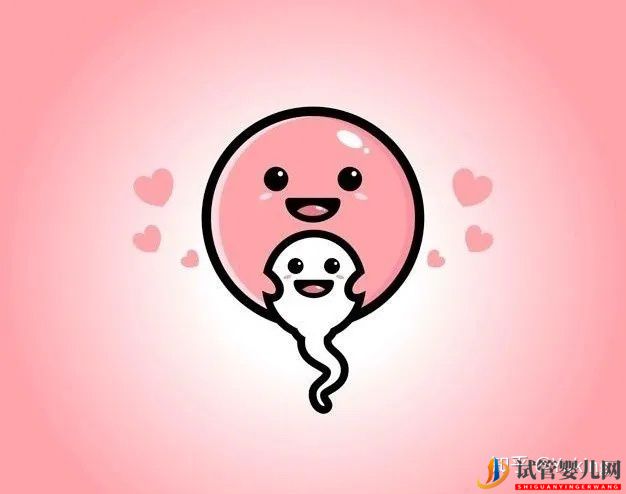 試管嬰兒科普系列一什么是一代、二代、三代試管嬰兒(圖3)