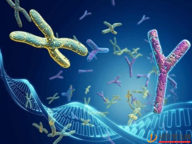 男方精子dna完整性差能不能做三代試管解決？(圖1)