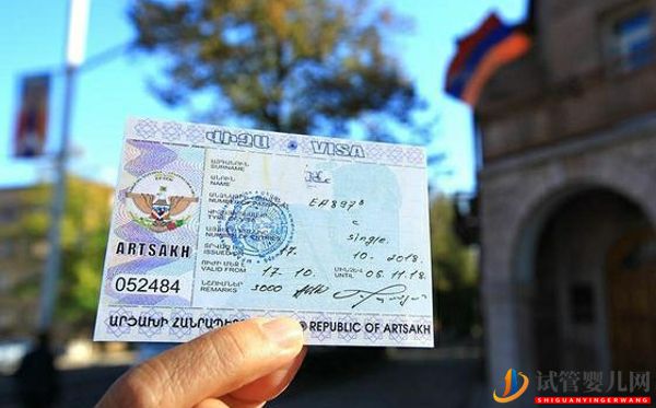 格魯吉亞做試管嬰兒不要結(jié)婚證，生男孩、懷雙胞胎更沒限制(圖3)