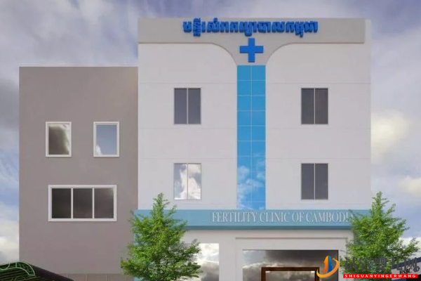 柬埔寨最好的五家試管醫院 全都在這里(圖3)