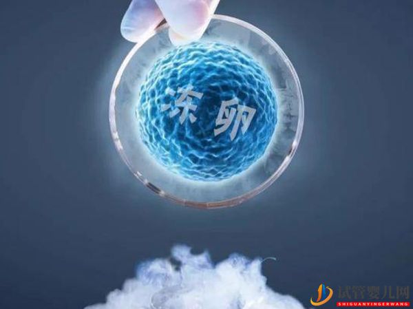 日本卵子冷凍時間不受限制、技術(shù)發(fā)達(dá)、費(fèi)用較其他國家更經(jīng)濟(jì)(圖1)