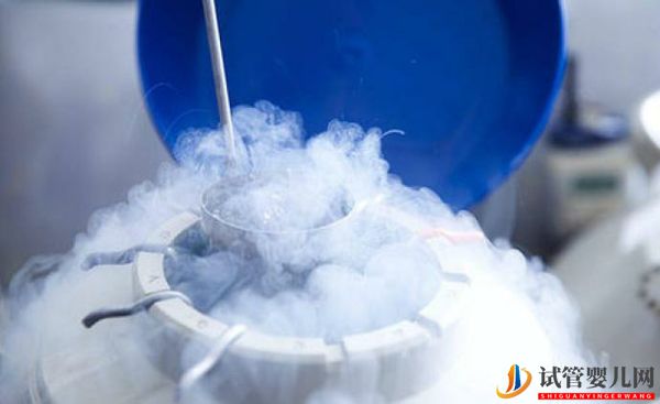 日本卵子冷凍時間不受限制、技術(shù)發(fā)達(dá)、費(fèi)用較其他國家更經(jīng)濟(jì)(圖3)