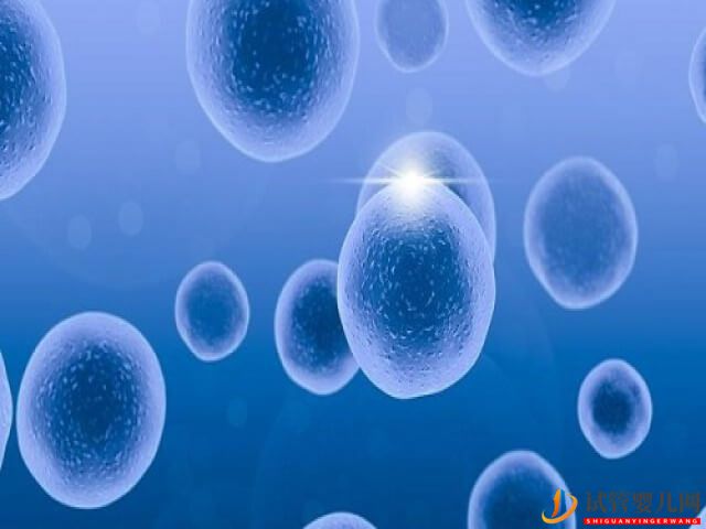 濰坊醫學院附屬醫院3代試管的總費用是多少？(圖1)