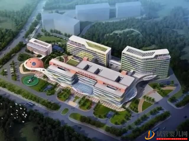 滄州二院做試管凍胚移植的成功率怎么樣？(圖1)