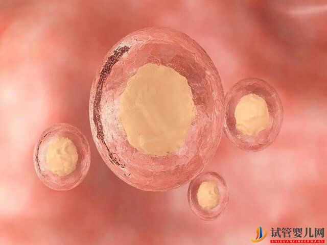 滄州做試管嬰兒可以選性別嗎？(圖1)