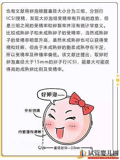 卵泡大小和試管成功率有關(guān)系嗎?大卵泡是不是越多越好?(多囊卵巢能懷上孩子嗎)(圖3) 卵泡大小和試管成功率有關(guān)系嗎?大卵泡是不是越多越好?(圖2)