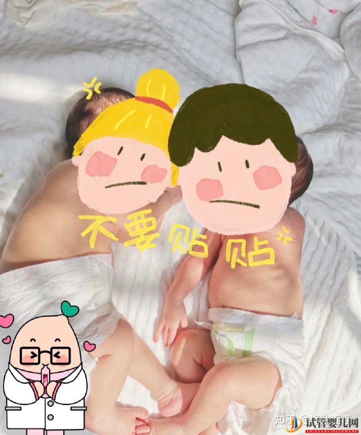 37歲高齡試管生雙胞胎,在線分享成功歷程試管嬰兒成功率(圖1)