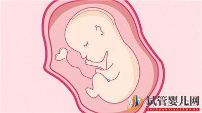 三代試管嬰兒大概需要多少錢試管選男女價格試管大約多少錢(圖5) 三代試管嬰兒大概需要多少錢試管選男女價格試管大約多少錢(圖3)