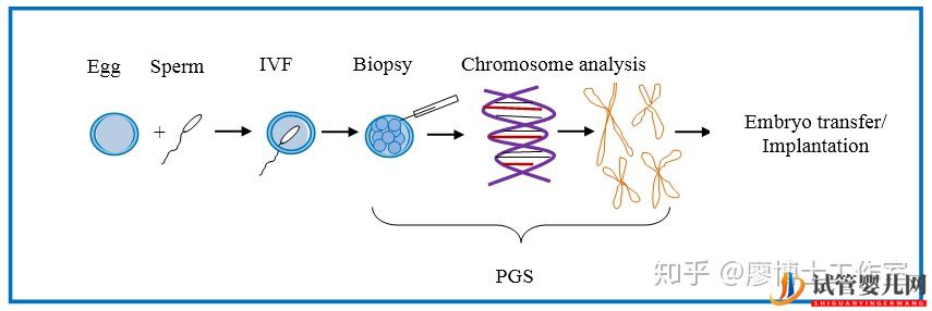 第三代試管嬰兒優(yōu)于第一代和第二代嗎？適合哪些人？試管大約多少錢？(圖4)