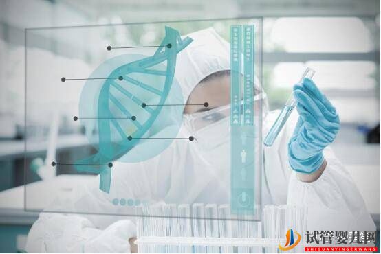 第三代試管嬰兒選擇性別真的能100%做到生男生女嗎試管大約多少錢(圖4)