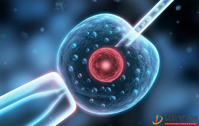 5.13試管嬰兒日，致敬全天下英雄的試管媽媽！(圖1)