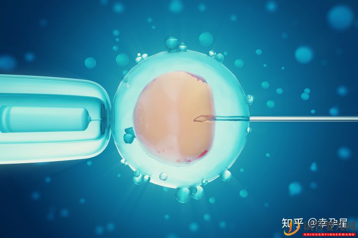 試管嬰兒真的可以選擇性別嗎(圖1)