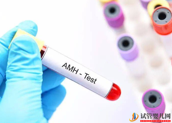 AMH0.04試管懷孕幾率只有這么多，調理卵泡發育或許有希望(圖1)