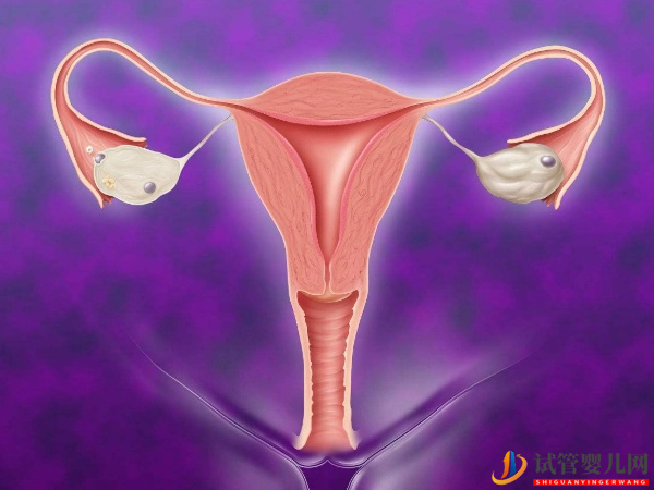 AmH值0.14 ，抓緊調理還有希望做試管懷孕(圖2)