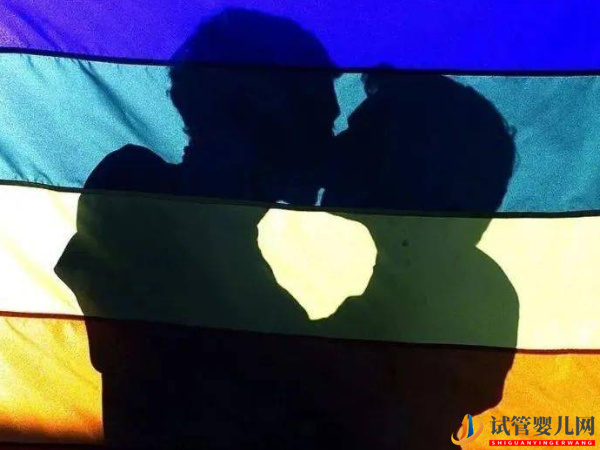 同性戀一般都是去哪里做試管嬰兒?(圖1) 同性戀一般都是去哪里做試管嬰兒?(圖1)