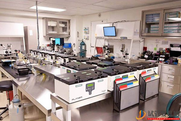 胚胎移植成功率詳解，影響因素有：女性年齡、子宮內環境等(圖4)