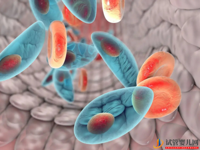 優生優育十項檢查項目匯總(圖2)