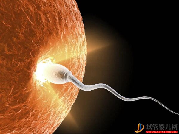 試管3pn胚胎原來是這個意思，好不好一目了然(圖2)