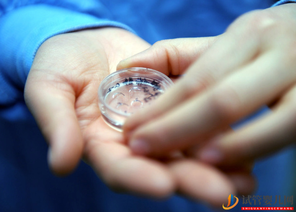 2pn胚胎是不是優(yōu)質(zhì)胚胎？移植成功率說明了一切(圖2)