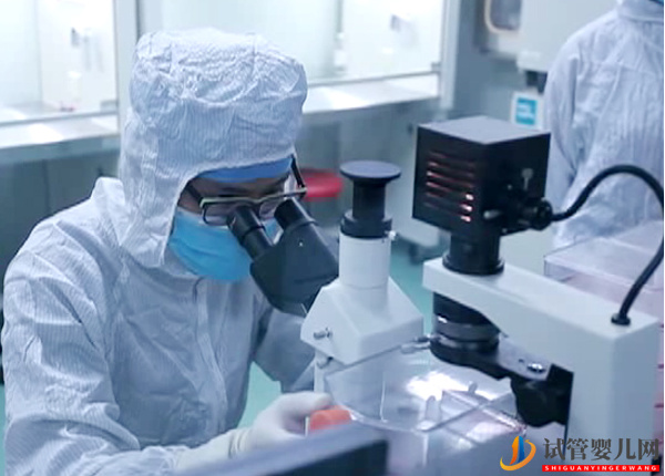 試管前檢查免疫風濕有原因，這5種情況下不可大意(圖1)